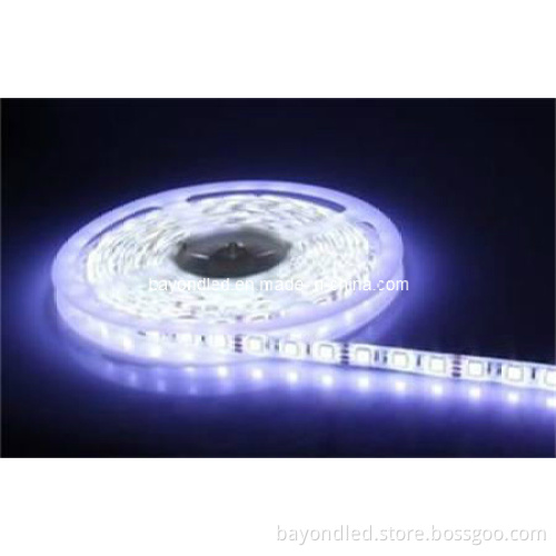 DC12V CE RoHS LED Strip Lighting